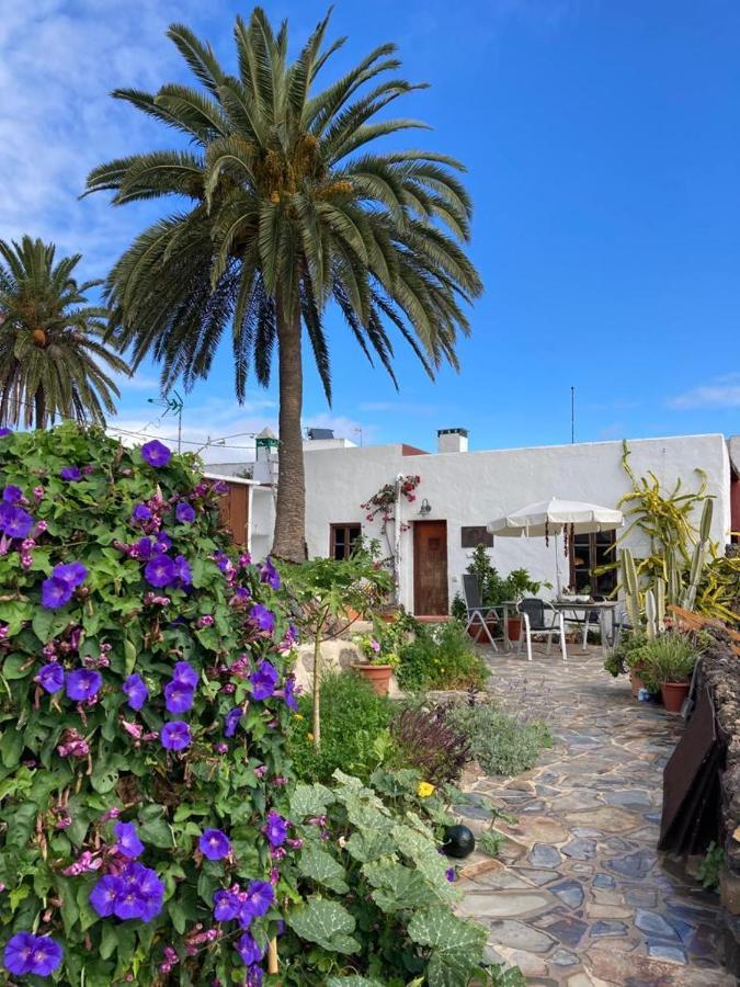 Apartamento Pirul Haría المظهر الخارجي الصورة